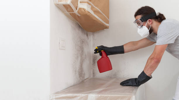 Professional Mold Removal technician working in Dayton, TX